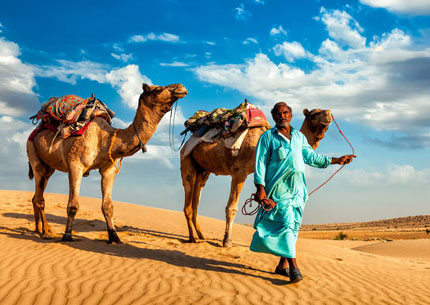 Rajasthan Tours